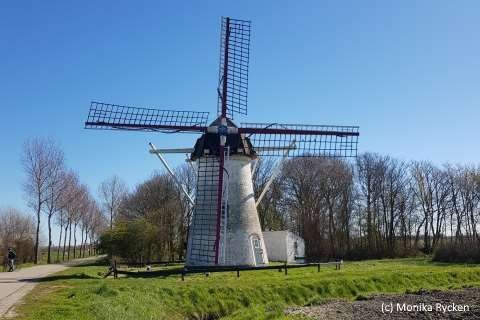 Bild einer Mühle in Holland